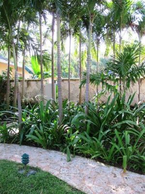 Photo by Oscar de la Renta of his house and tropical gardens in Punta Cana.jpg